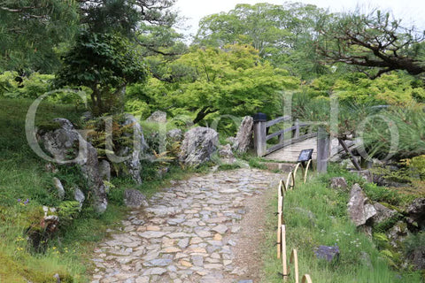 Hikone Castle Genkyuen 1