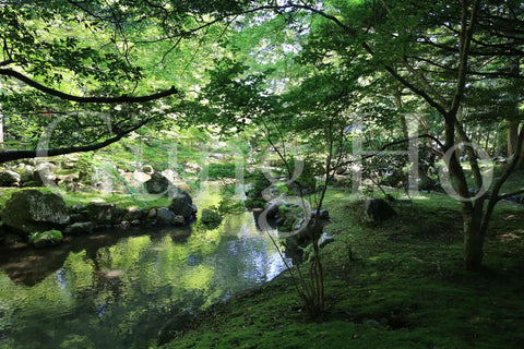 Kitabatake Residence Garden 1