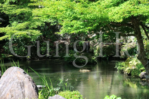 Nanzenji Hojo Garden, Nyoshin Garden, Rokudo Garden