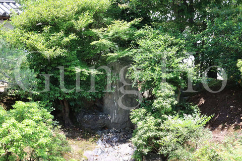 Shokokuji Hojo North Garden