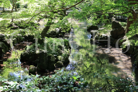 Kitabatake Residence Garden 1