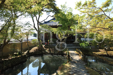 Shinyakushiji Temple