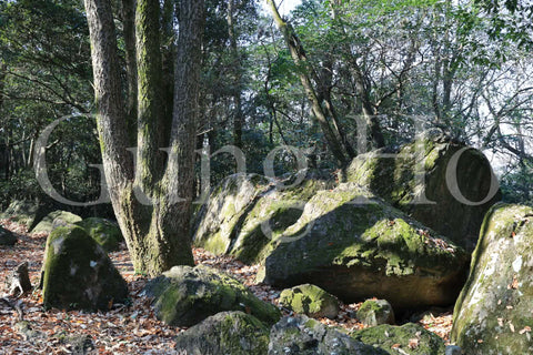 Kibi Nakayama Hachijou Rock