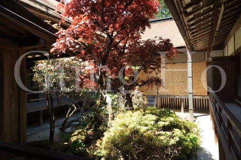 Patio del templo Kongobu-ji (Tsuboniwa)