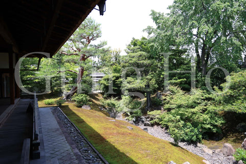 Shokokuji Hojo North Garden