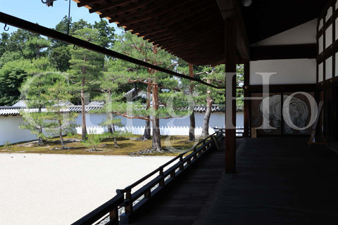 Shokokuji Hojo South Garden