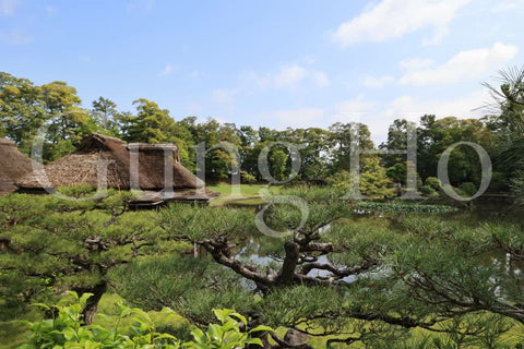 Hikone Castle Genkyuen 1