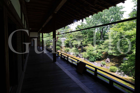 Shokokuji Hojo North Garden