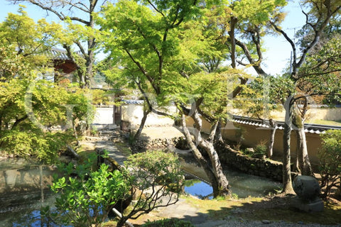 Shinyakushiji Temple