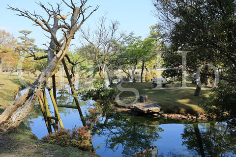Parque de Nara Ukigumoenchi
