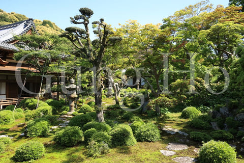 金剛寺（河内長野市）