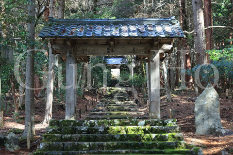 常照皇寺