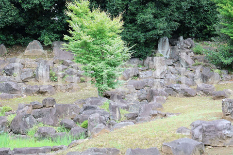 Templo Tokoji