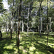 Akishino temple Garden