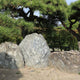 Antiguo Castillo de Tokushima Jardín Omote Goten