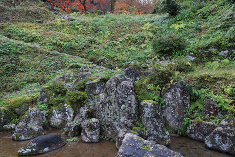 Asakurayakata ruins garden
