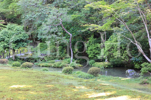 南禅寺 南禅院