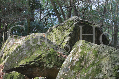 Roca Kibi Nakayama Yataiwa