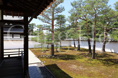 Jardín Sur de Shokokuji Hojo