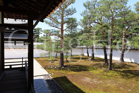 Shokokuji Hojo South Garden