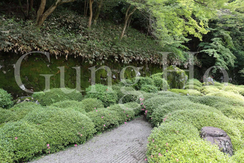 Chion-in Hojo Garden