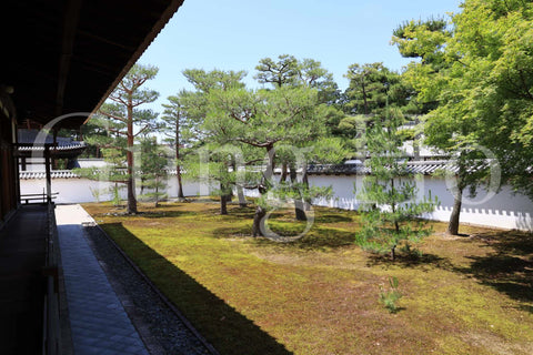 Shokokuji Hojo South Garden