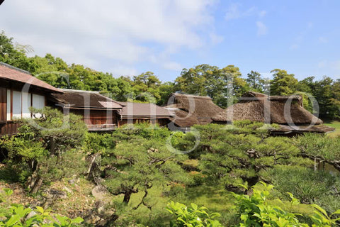 Hikone Castle Genkyuen 1