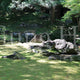 Jardín de la residencia de Kitabatake 1