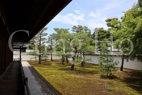 Shokokuji Hojo South Garden