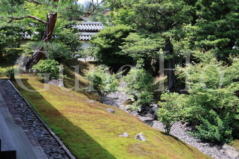 Shokokuji Hojo North Garden