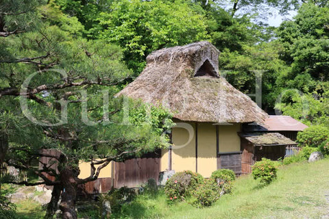 Hikone Castle Genkyuen 1