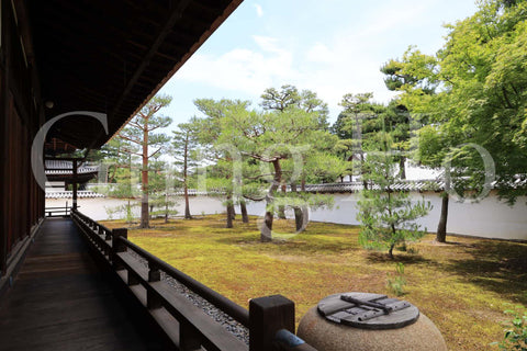 Shokokuji Hojo South Garden