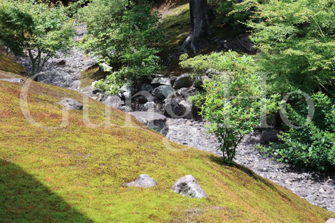 Shokokuji Hojo North Garden