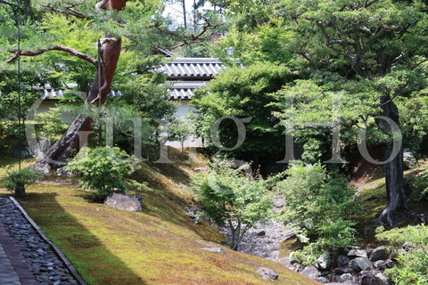 Shokokuji Hojo North Garden