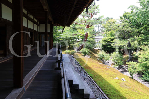 Shokokuji Hojo North Garden