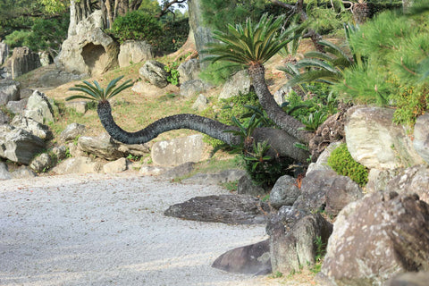 Antiguo Castillo de Tokushima Jardín Omote Goten