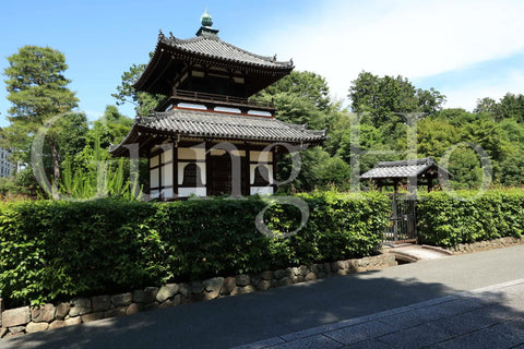 Shokokuji Hojo South Garden