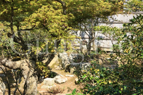 Shinyakushiji Temple