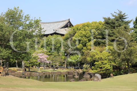 Nara Park Kasuganoenchi