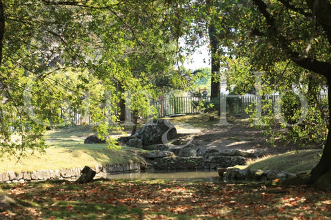 Jardín Kofukuji Oyuya
