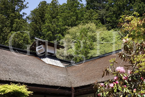 Kongobu-ji Temple Courtyard (Tsuboniwa)