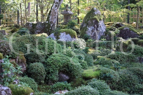 西明寺 蓬莱庭園