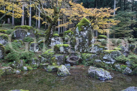 Jardín de las ruinas de Suwayakata