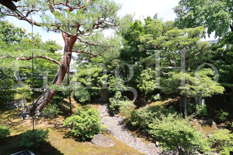 Shokokuji Hojo North Garden