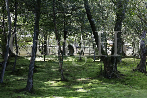 Jardín Akishinodera