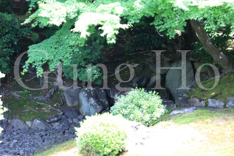 Jardín norte de Shokokuji Hojo