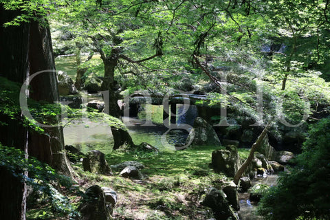 Jardín de la residencia de Kitabatake 2