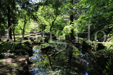 Kitabatake Residence Garden 2