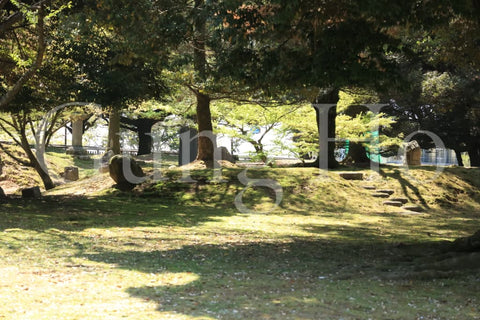 Kofukuji Oyuya Garden