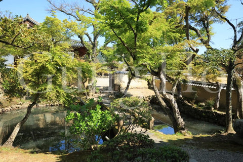 Shinyakushiji Temple